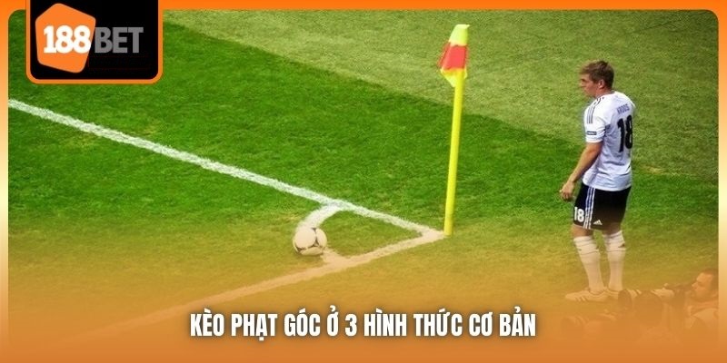 Kèo Phạt Góc Mang Đến Cảm Xúc Khác Biệt Trong Cá Cược 5 Kèo phạt góc ở 3 hình thức cơ bản